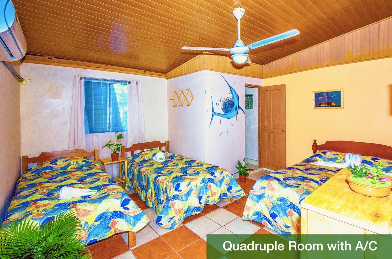 Blue Iguana Hotel Samara Luaran gambar