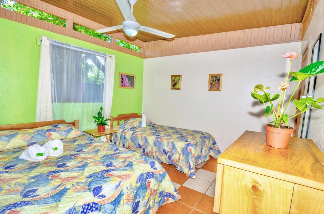 Blue Iguana Hotel Samara Luaran gambar